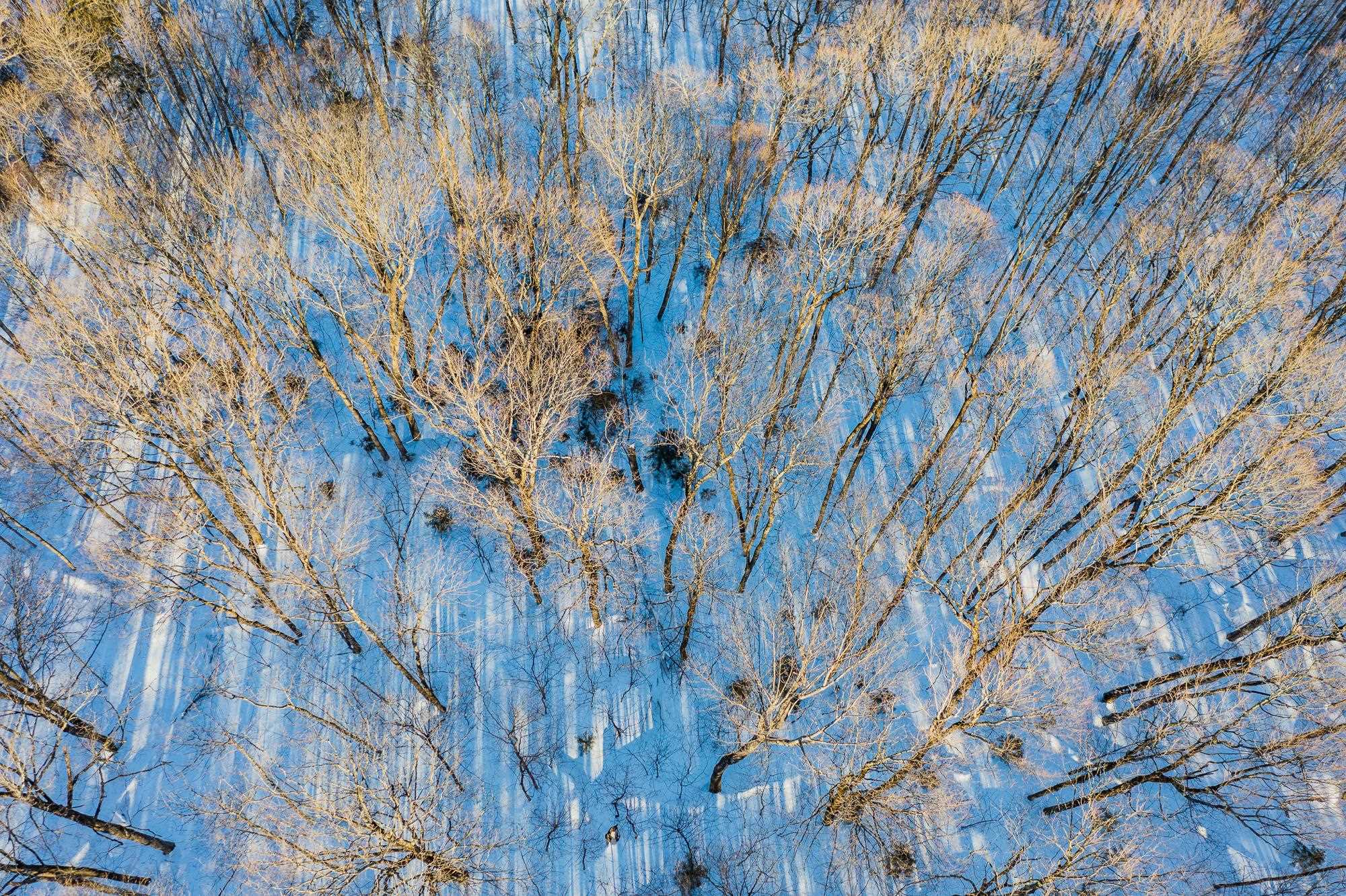 0 Long Hill Road South Woodstock, VT 05071 - Photo 12 of 33