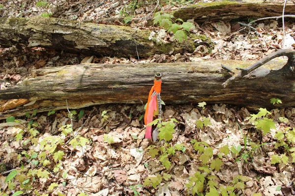 $549,000 | 0 Long Hill Road, South Woodstock, VT 05071