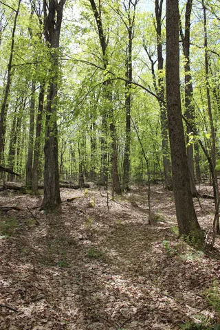 $549,000 | 0 Long Hill Road, South Woodstock, VT 05071