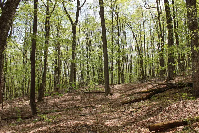 $549,000 | 0 Long Hill Road, South Woodstock, VT 05071