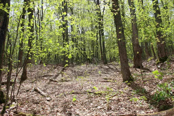 $549,000 | 0 Long Hill Road, South Woodstock, VT 05071