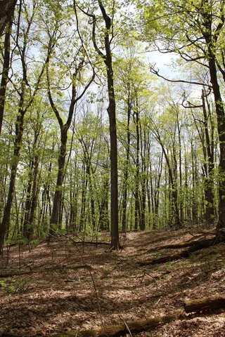 $549,000 | 0 Long Hill Road, South Woodstock, VT 05071