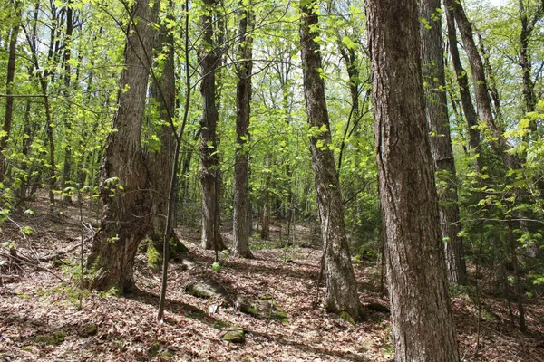 $549,000 | 0 Long Hill Road, South Woodstock, VT 05071