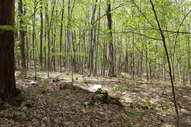 $549,000 | 0 Long Hill Road, South Woodstock, VT 05071