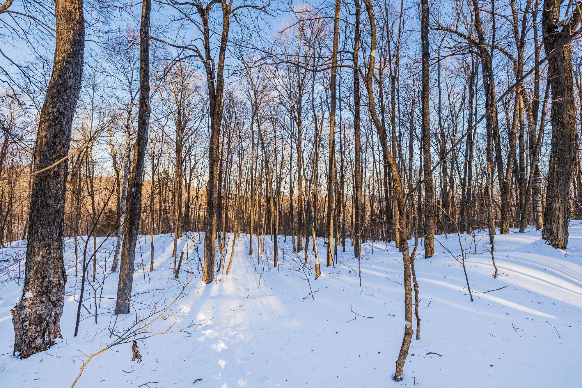 0 Long Hill Road South Woodstock, VT 05071 - Photo 17 of 33