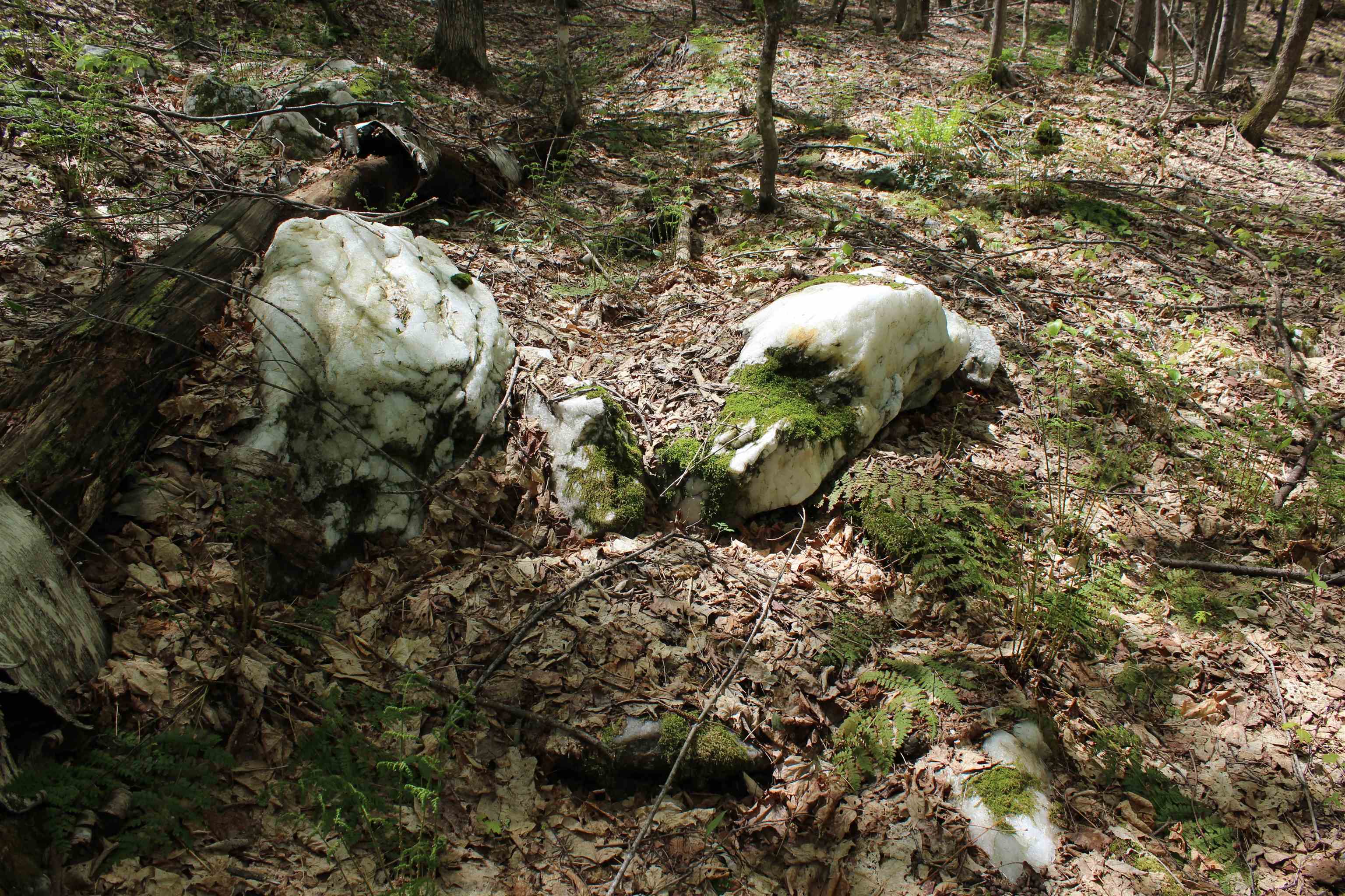 0 Long Hill Road South Woodstock, VT 05071 - Photo 17 of 58