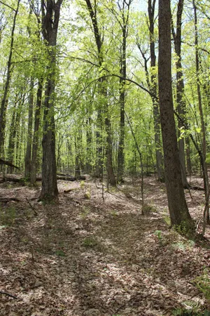 $549,000 | 0 Long Hill Road, South Woodstock, VT 05071