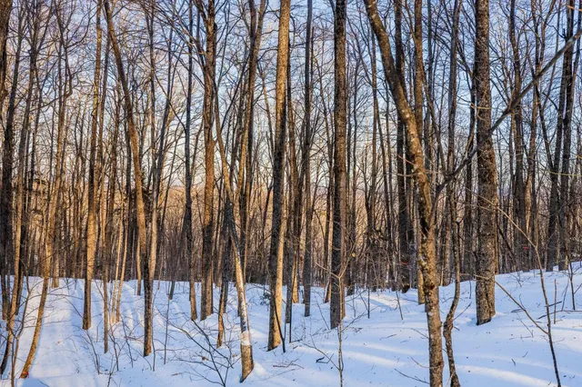 $549,000 | 0 Long Hill Road, South Woodstock, VT 05071