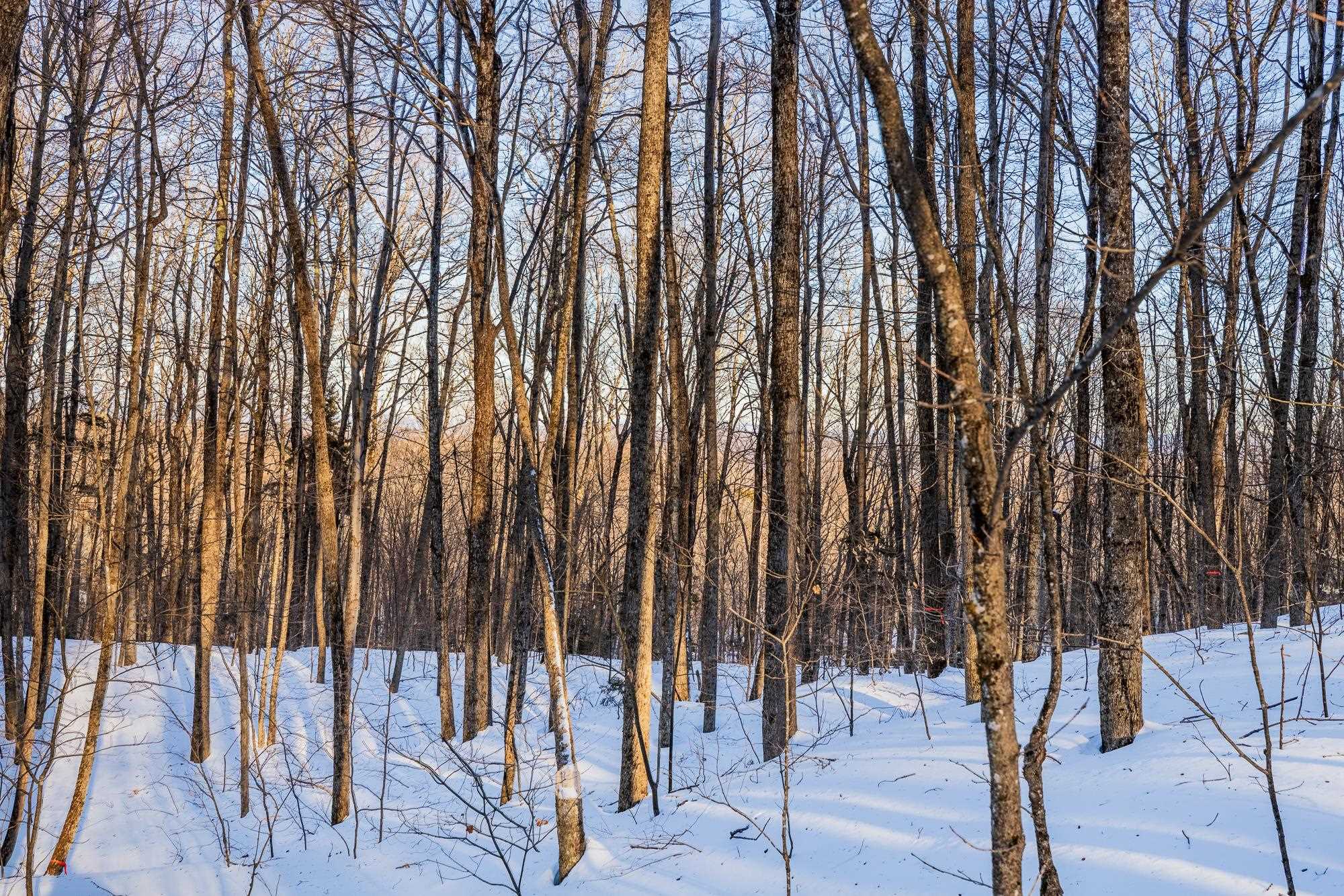 0 Long Hill Road South Woodstock, VT 05071 - Photo 18 of 33