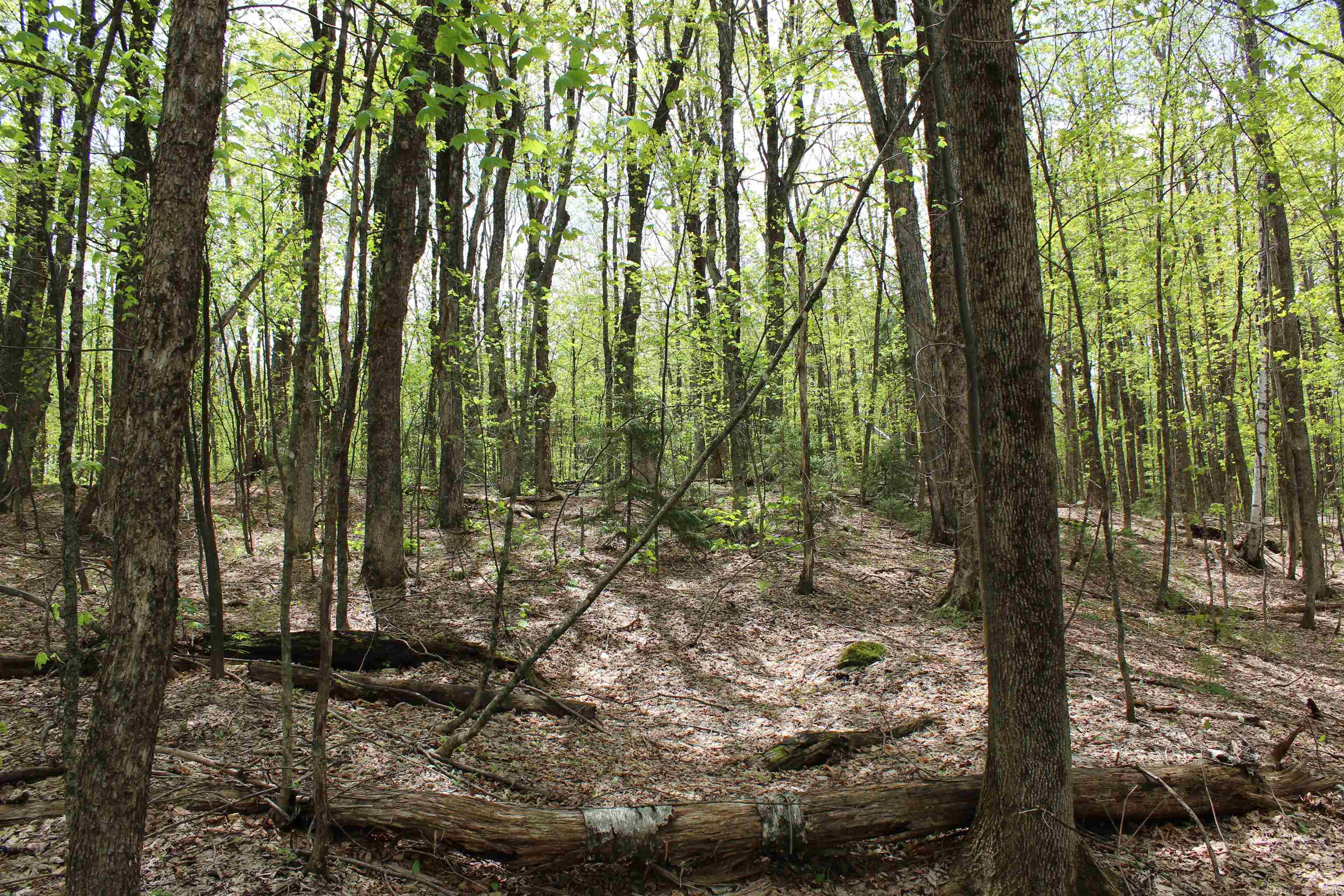 0 Long Hill Road South Woodstock, VT 05071 - Photo 18 of 58