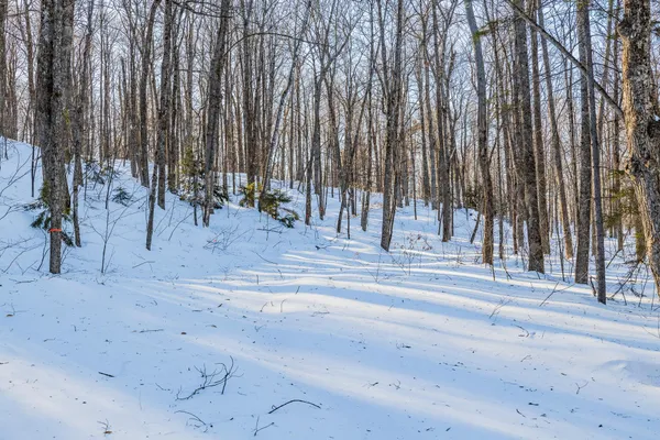 $549,000 | 0 Long Hill Road, South Woodstock, VT 05071