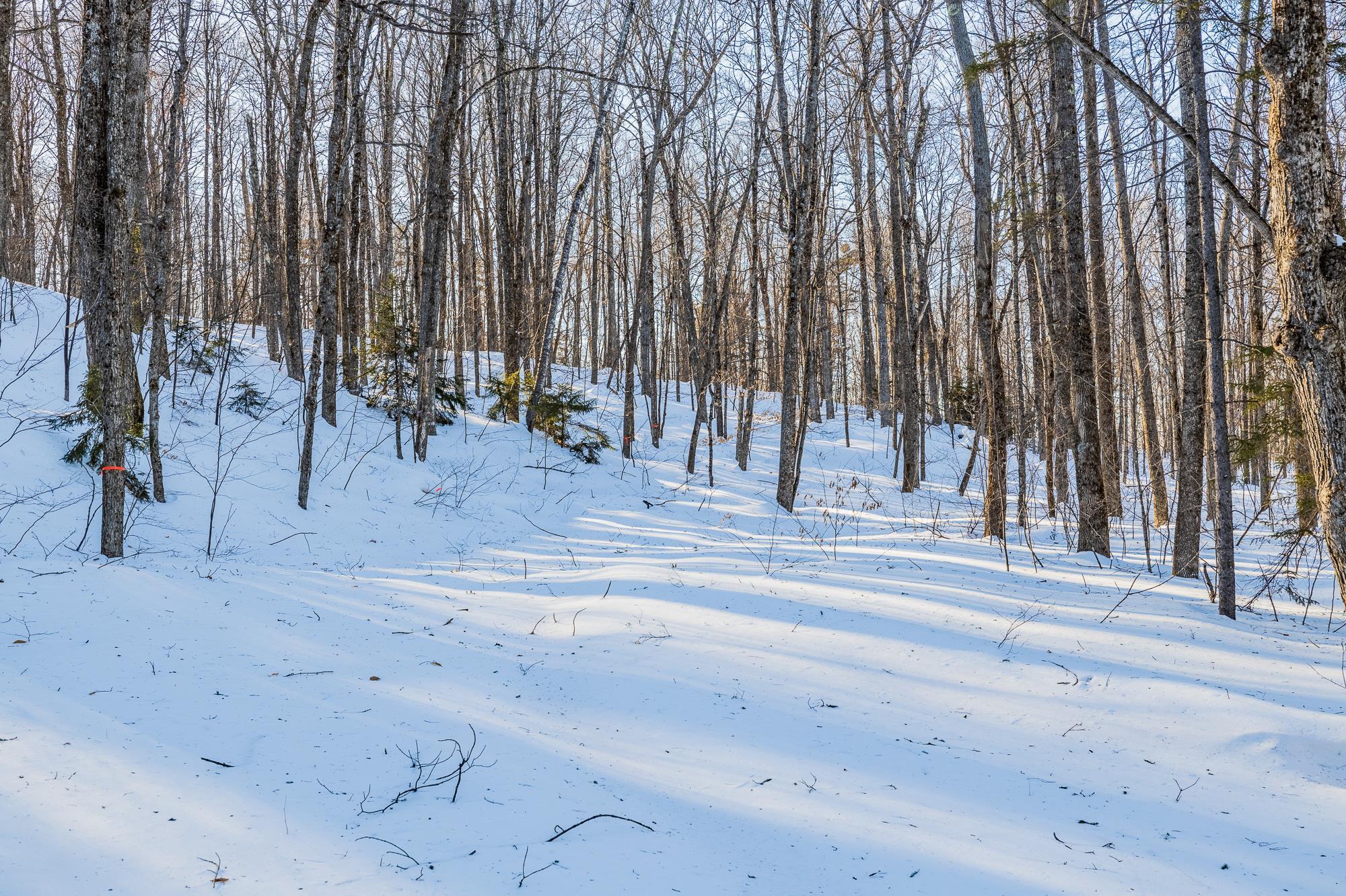 0 Long Hill Road South Woodstock, VT 05071 - Photo 18 of 68