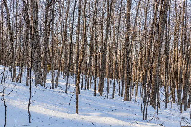 $549,000 | 0 Long Hill Road, South Woodstock, VT 05071