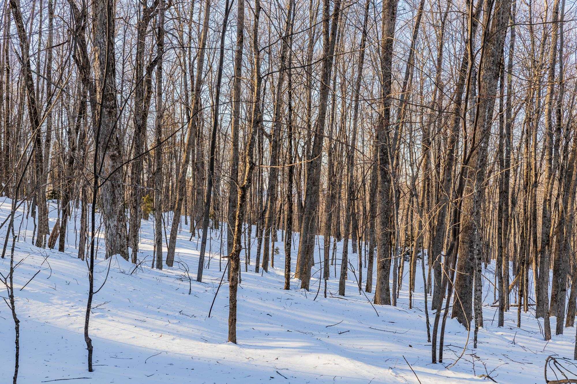 0 Long Hill Road South Woodstock, VT 05071 - Photo 19 of 33
