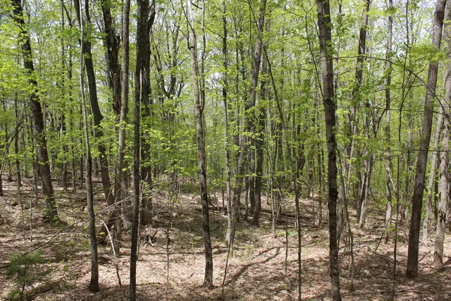 $549,000 | 0 Long Hill Road, South Woodstock, VT 05071