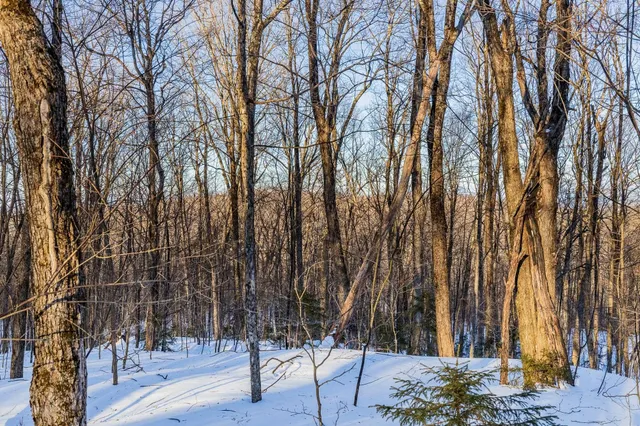 $549,000 | 0 Long Hill Road, South Woodstock, VT 05071