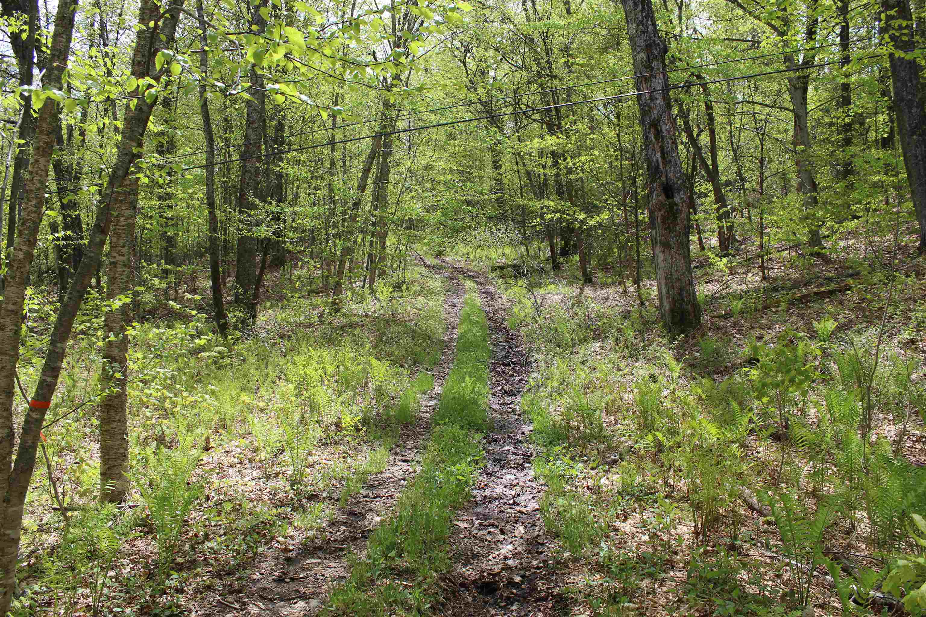 0 Long Hill Road South Woodstock, VT 05071 - Photo 2 of 68