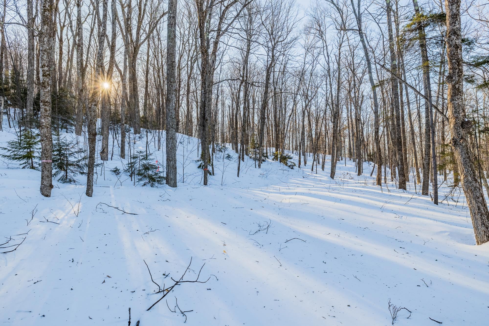 0 Long Hill Road South Woodstock, VT 05071 - Photo 2 of 33