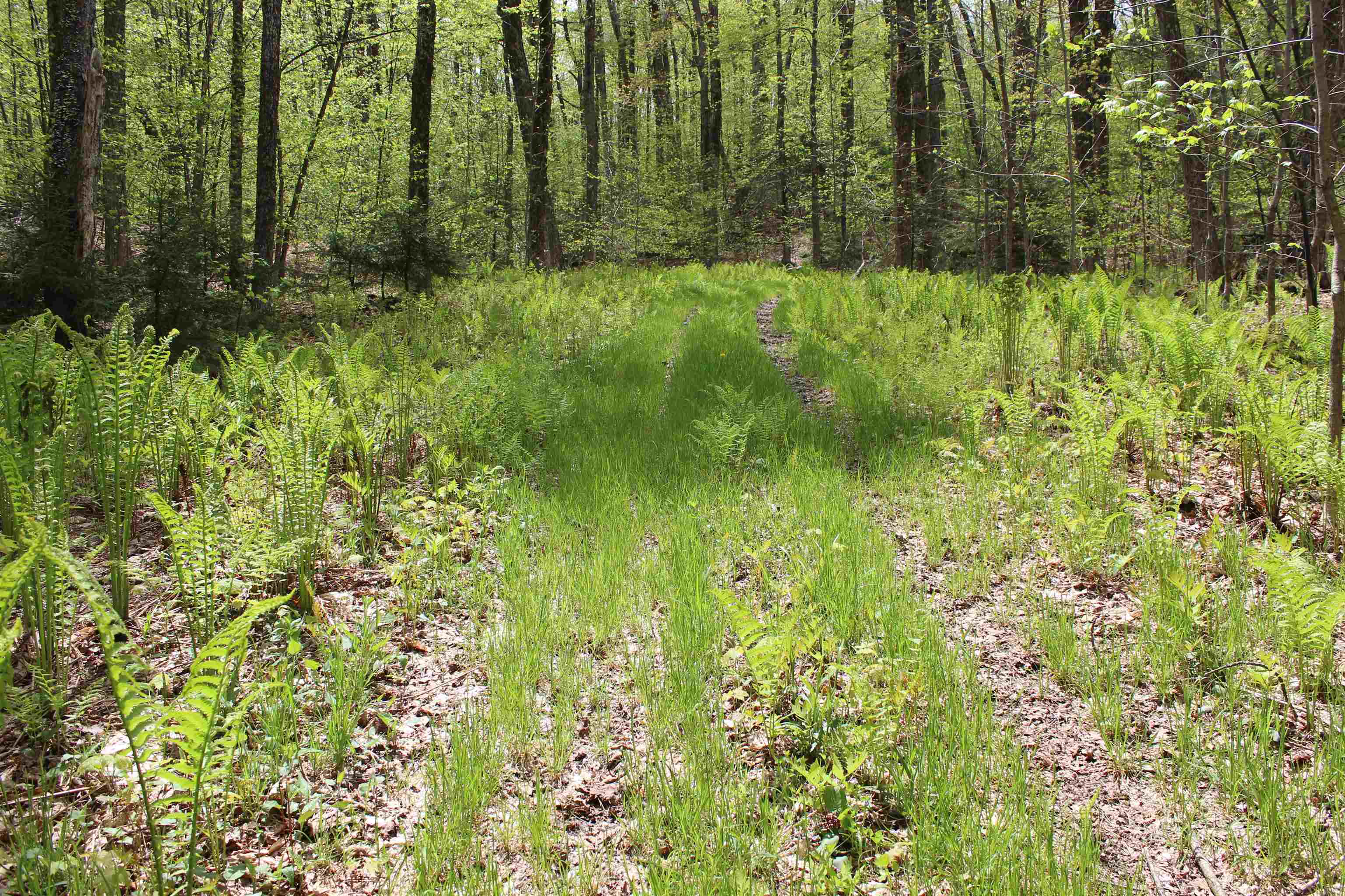 0 Long Hill Road South Woodstock, VT 05071 - Photo 2 of 58
