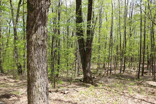 $549,000 | 0 Long Hill Road, South Woodstock, VT 05071