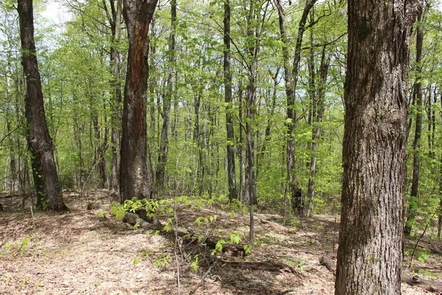 $549,000 | 0 Long Hill Road, South Woodstock, VT 05071