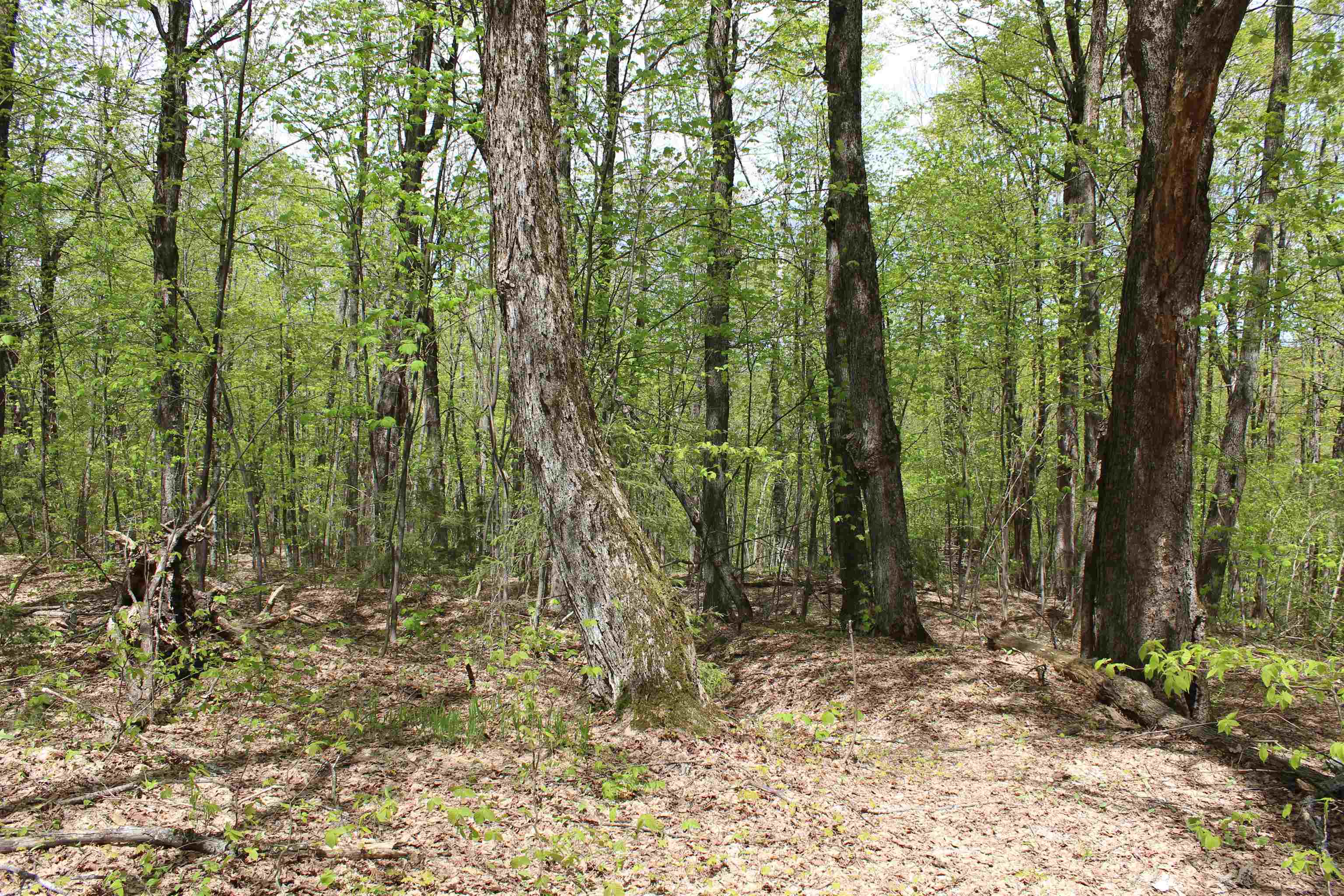 0 Long Hill Road South Woodstock, VT 05071 - Photo 23 of 58