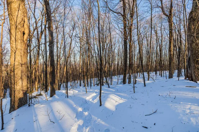 $549,000 | 0 Long Hill Road, South Woodstock, VT 05071