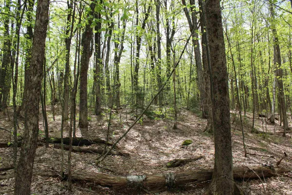 $549,000 | 0 Long Hill Road, South Woodstock, VT 05071