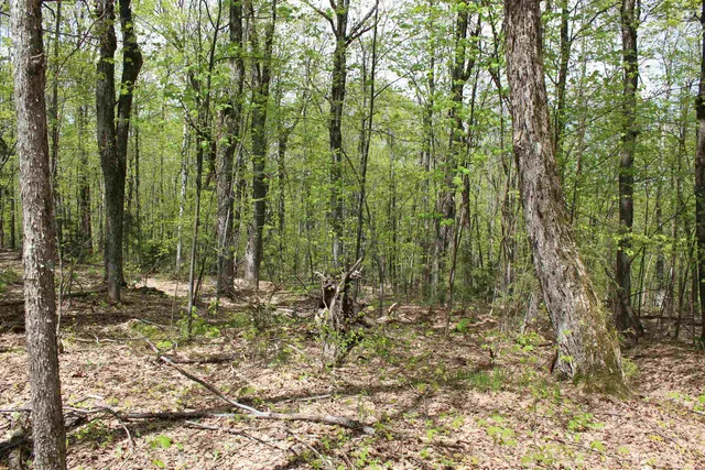 $549,000 | 0 Long Hill Road, South Woodstock, VT 05071