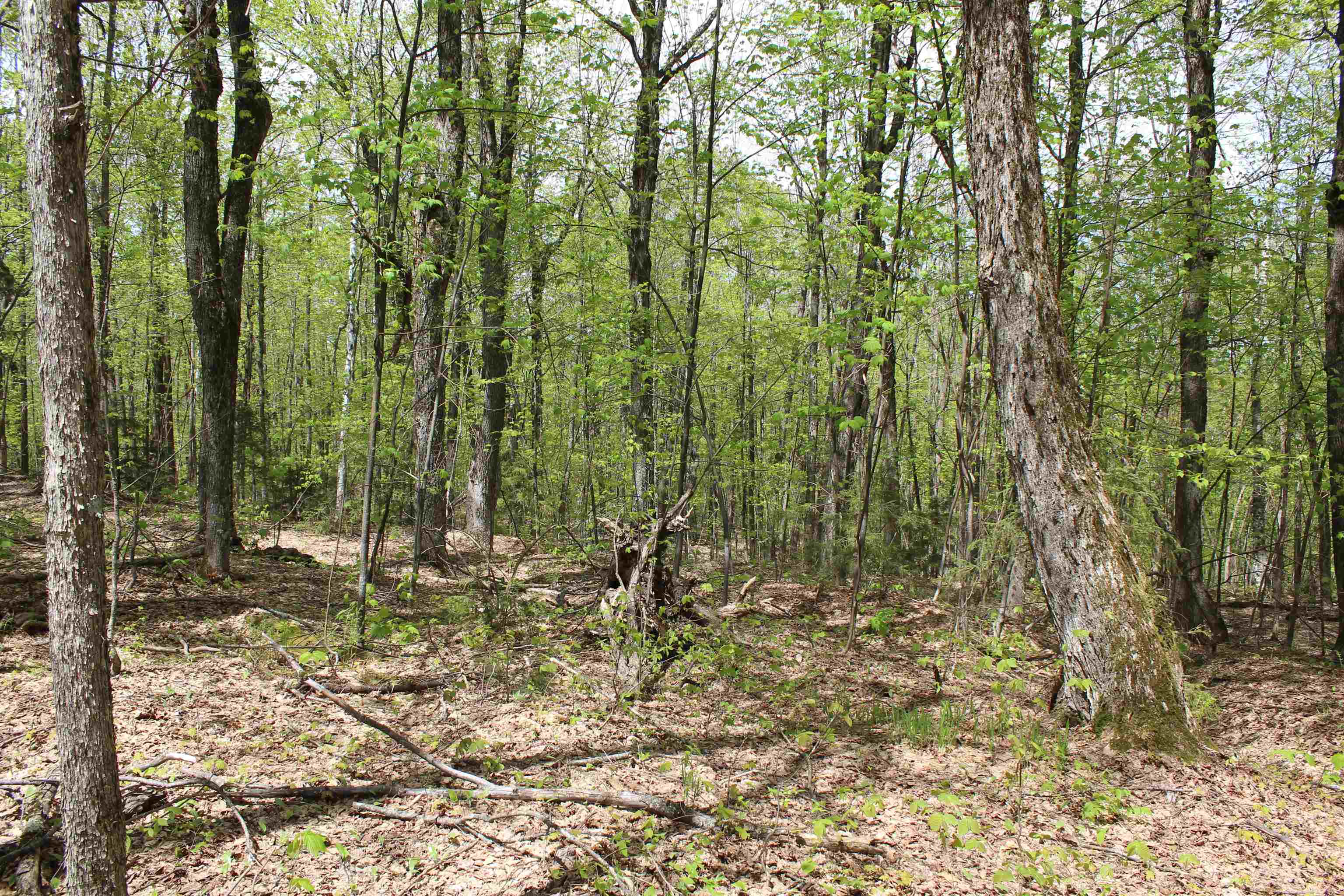 0 Long Hill Road South Woodstock, VT 05071 - Photo 24 of 58