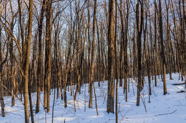 $549,000 | 0 Long Hill Road, South Woodstock, VT 05071