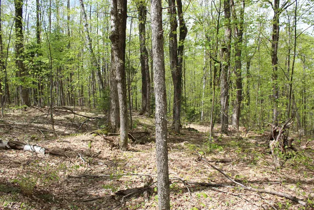 $549,000 | 0 Long Hill Road, South Woodstock, VT 05071