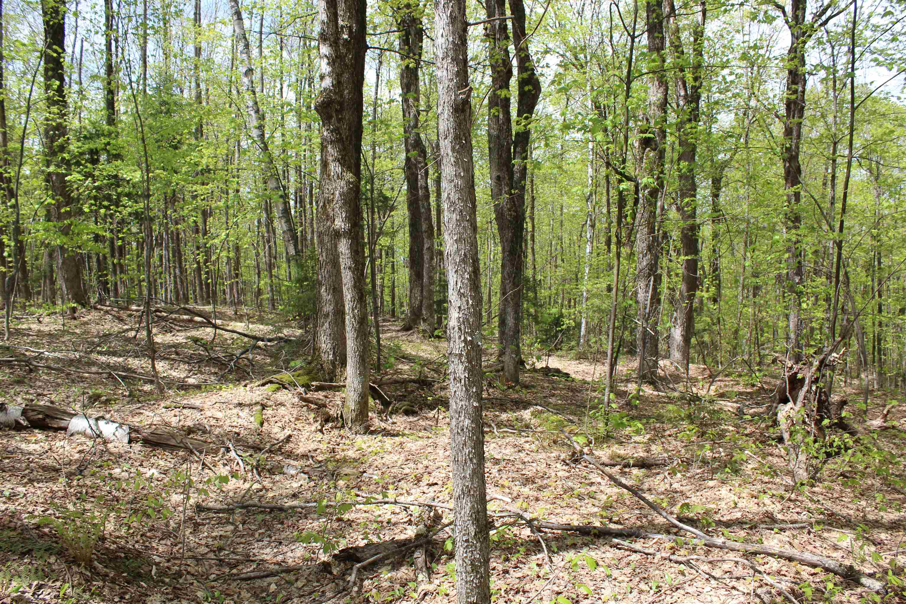 0 Long Hill Road South Woodstock, VT 05071 - Photo 25 of 58