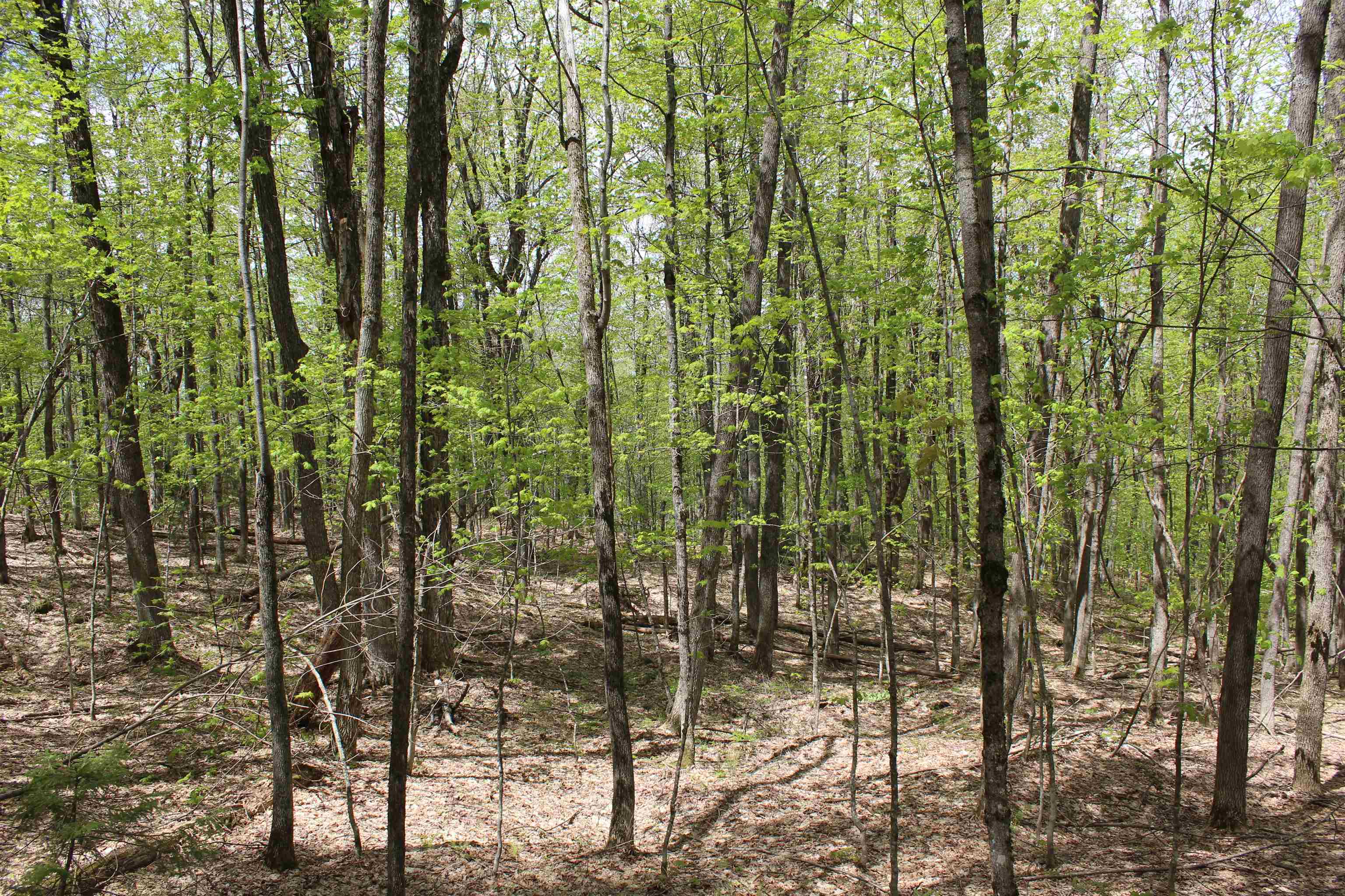 0 Long Hill Road South Woodstock, VT 05071 - Photo 25 of 68