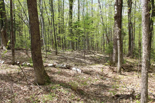 $549,000 | 0 Long Hill Road, South Woodstock, VT 05071