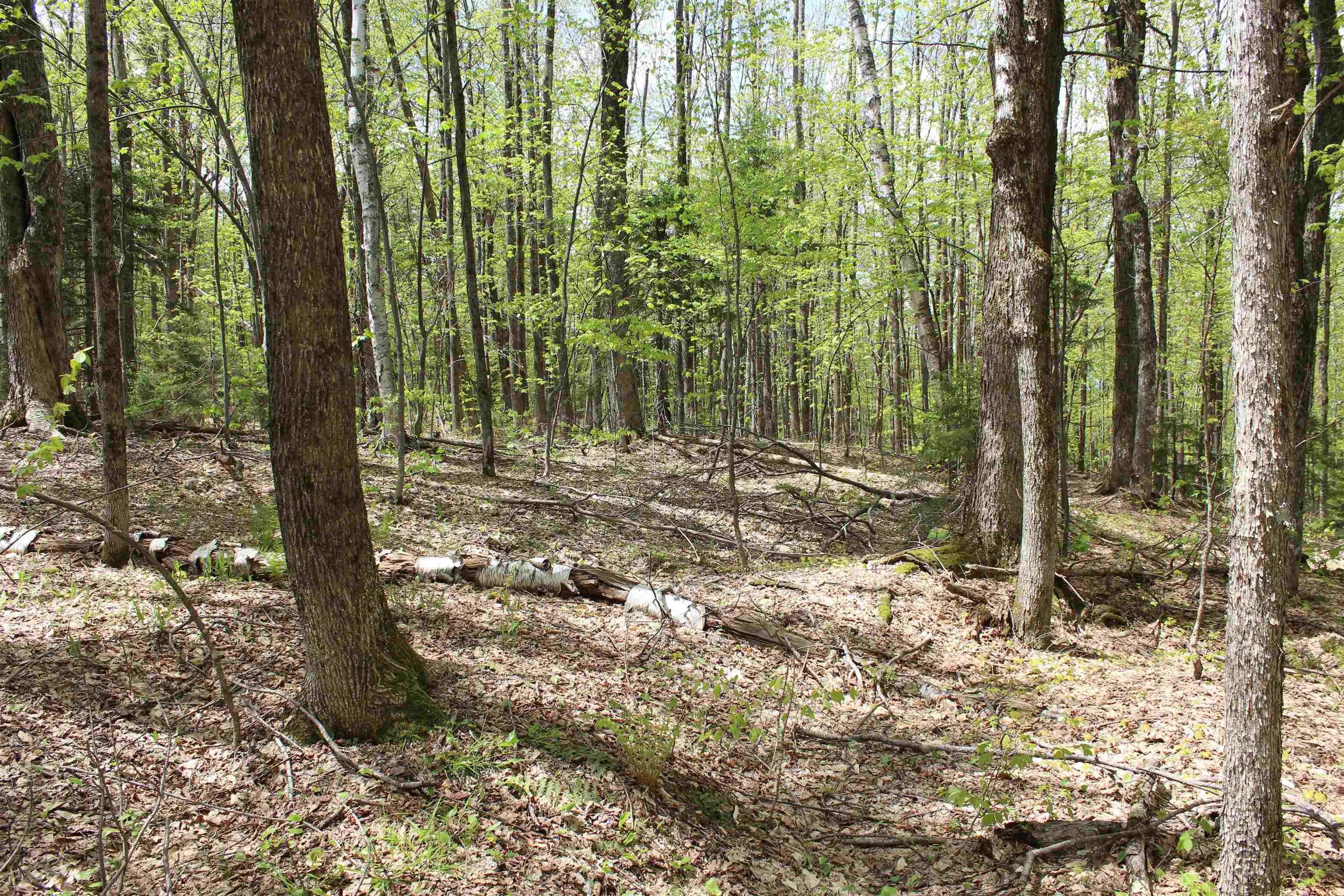 0 Long Hill Road South Woodstock, VT 05071 - Photo 26 of 58