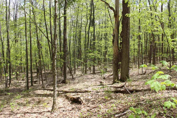 $549,000 | 0 Long Hill Road, South Woodstock, VT 05071