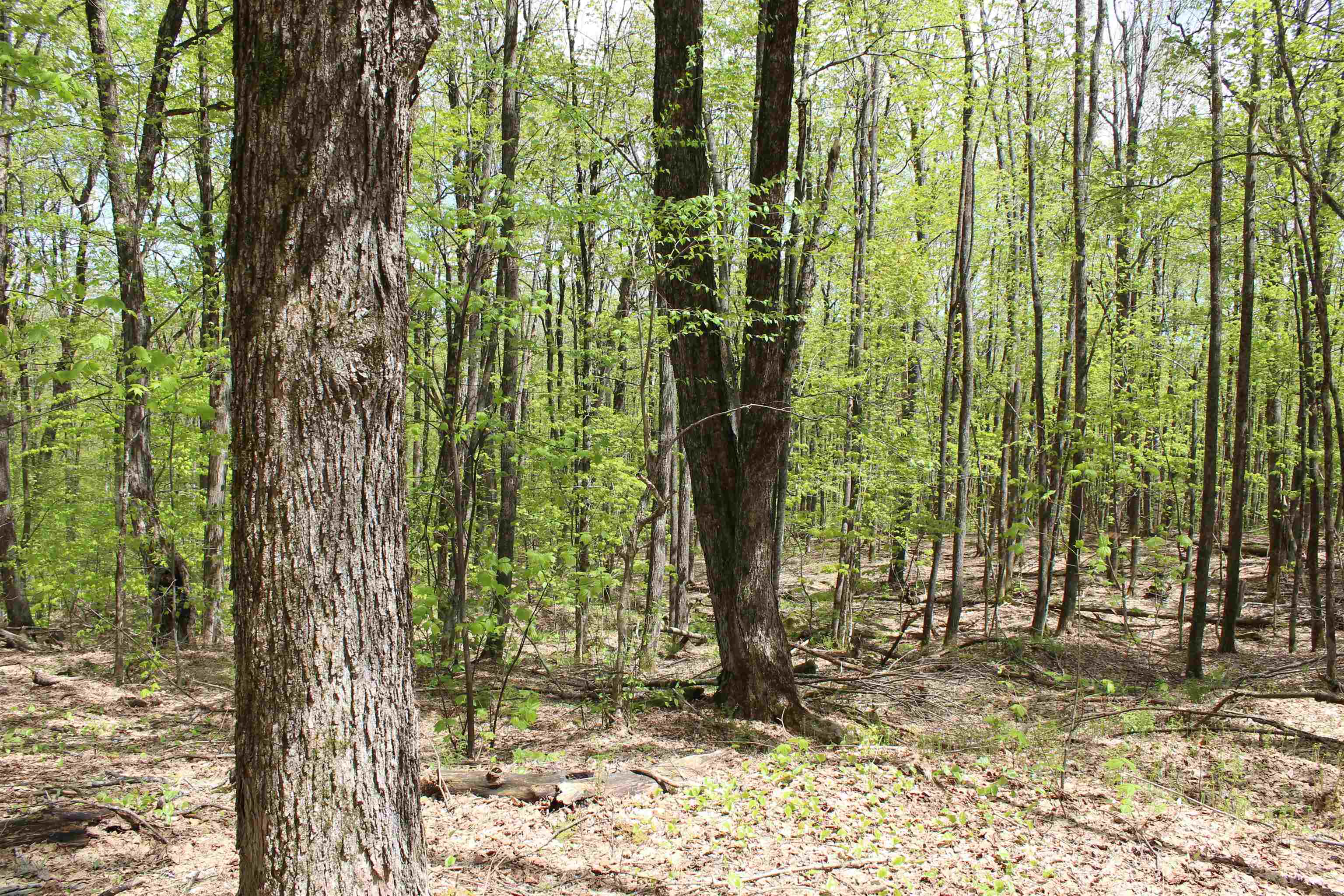 0 Long Hill Road South Woodstock, VT 05071 - Photo 27 of 68