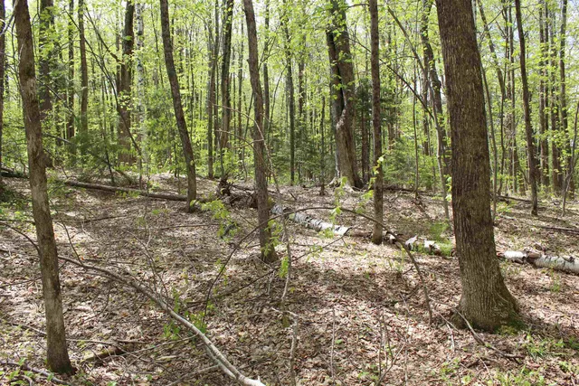 $549,000 | 0 Long Hill Road, South Woodstock, VT 05071