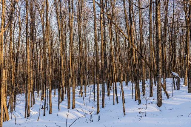 $549,000 | 0 Long Hill Road, South Woodstock, VT 05071