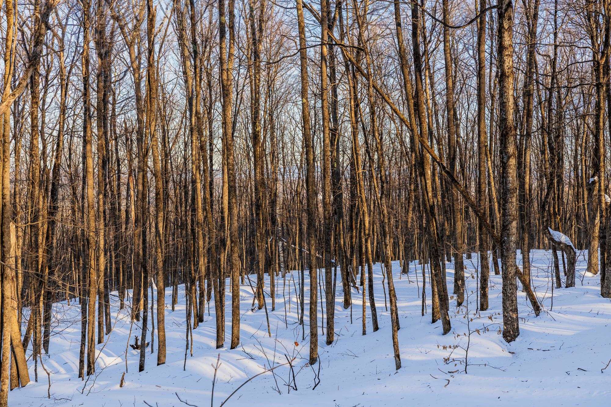 0 Long Hill Road South Woodstock, VT 05071 - Photo 27 of 33