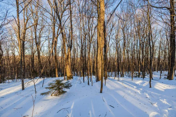 $549,000 | 0 Long Hill Road, South Woodstock, VT 05071