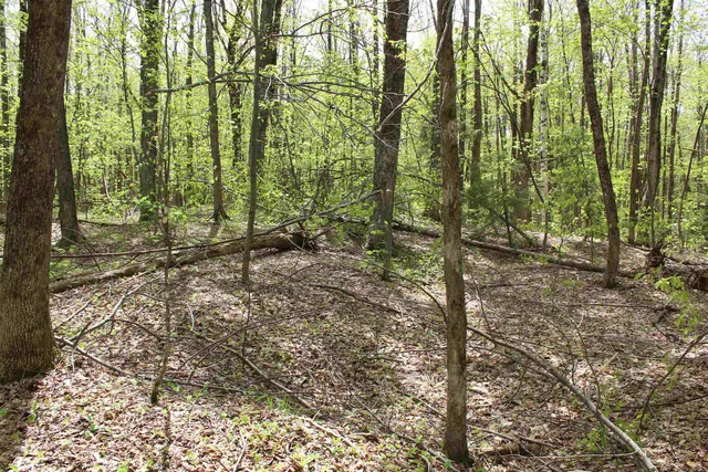 $549,000 | 0 Long Hill Road, South Woodstock, VT 05071