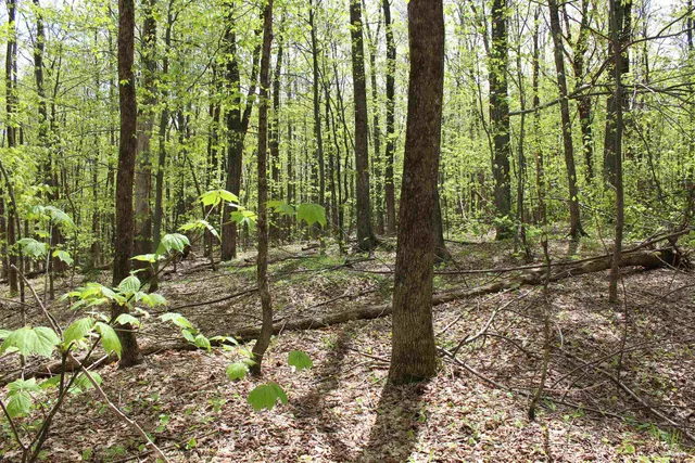 $549,000 | 0 Long Hill Road, South Woodstock, VT 05071