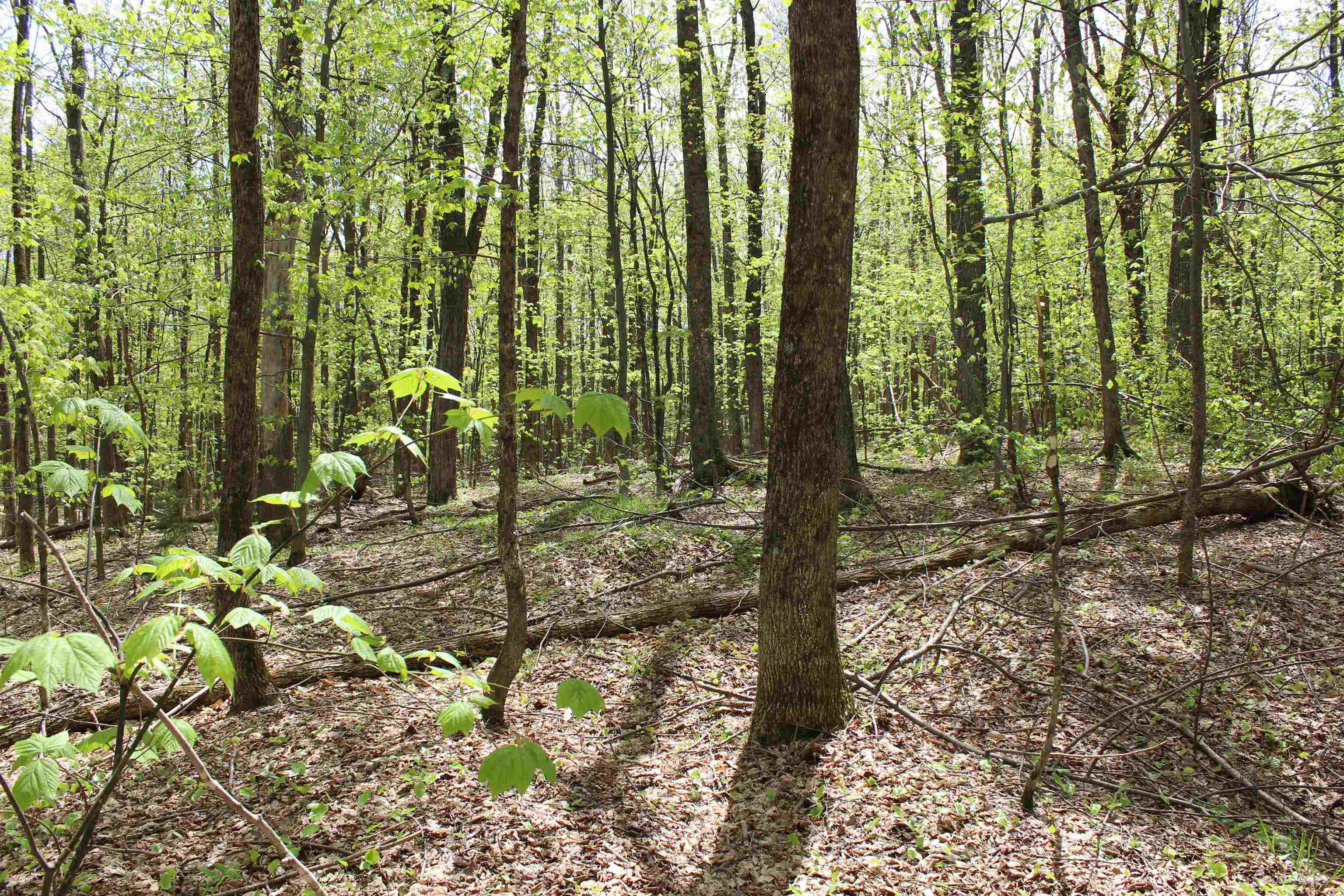 0 Long Hill Road South Woodstock, VT 05071 - Photo 29 of 58
