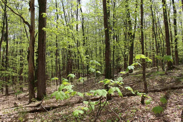 $549,000 | 0 Long Hill Road, South Woodstock, VT 05071