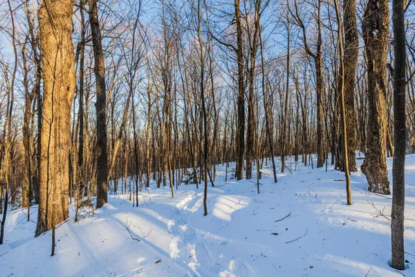 $549,000 | 0 Long Hill Road, South Woodstock, VT 05071