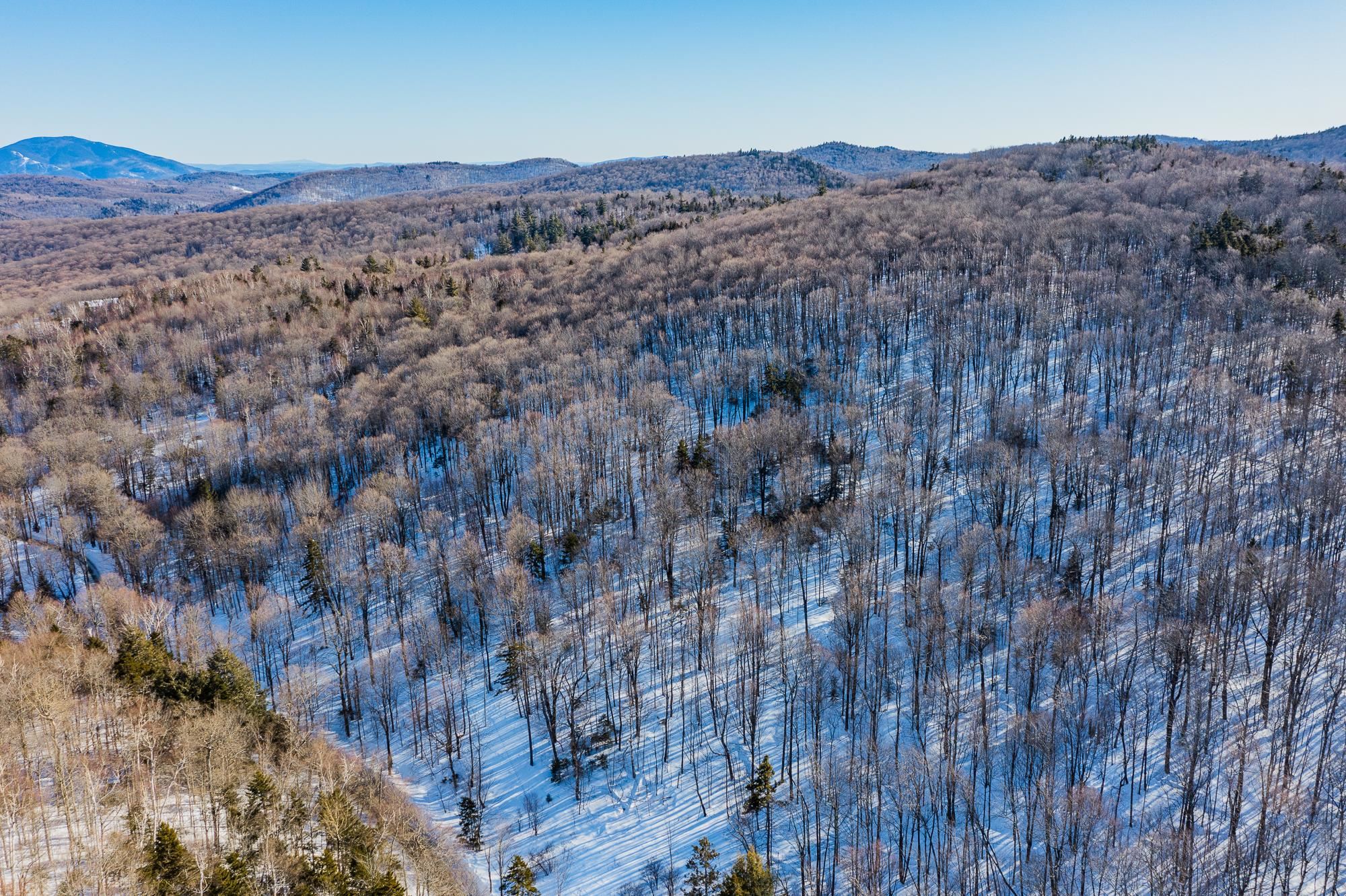 0 Long Hill Road South Woodstock, VT 05071 - Photo 3 of 33