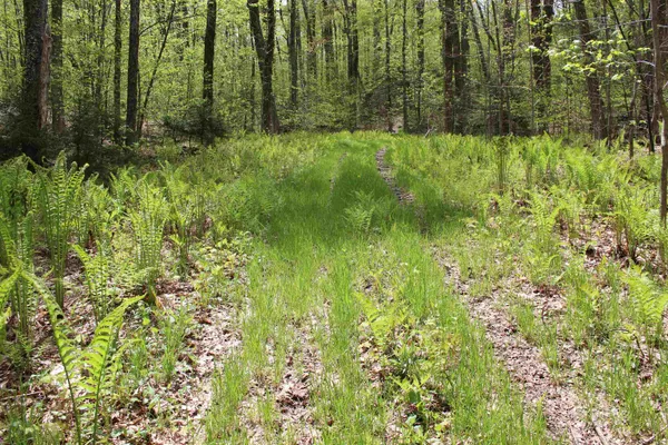 $549,000 | 0 Long Hill Road, South Woodstock, VT 05071