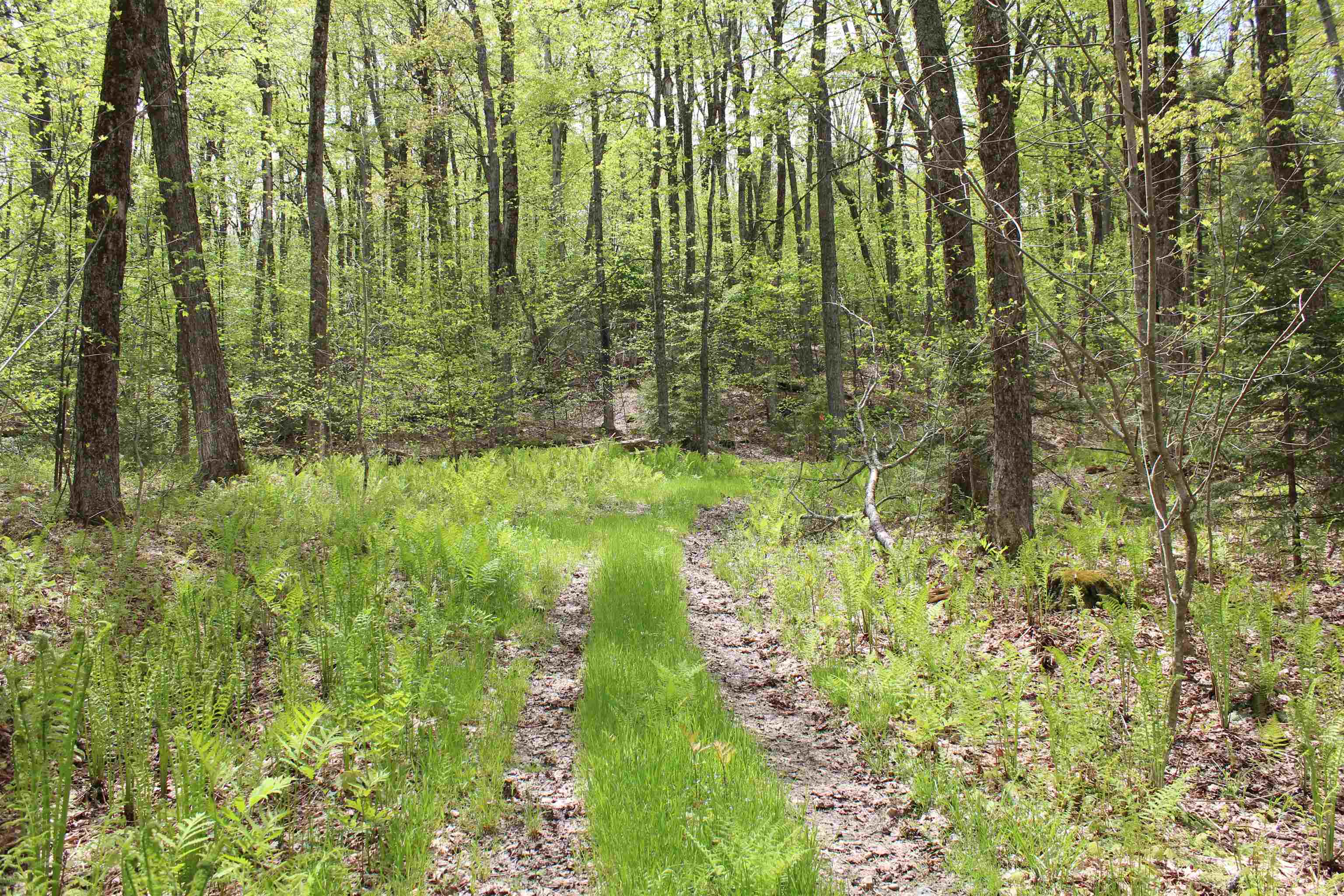0 Long Hill Road South Woodstock, VT 05071 - Photo 3 of 58